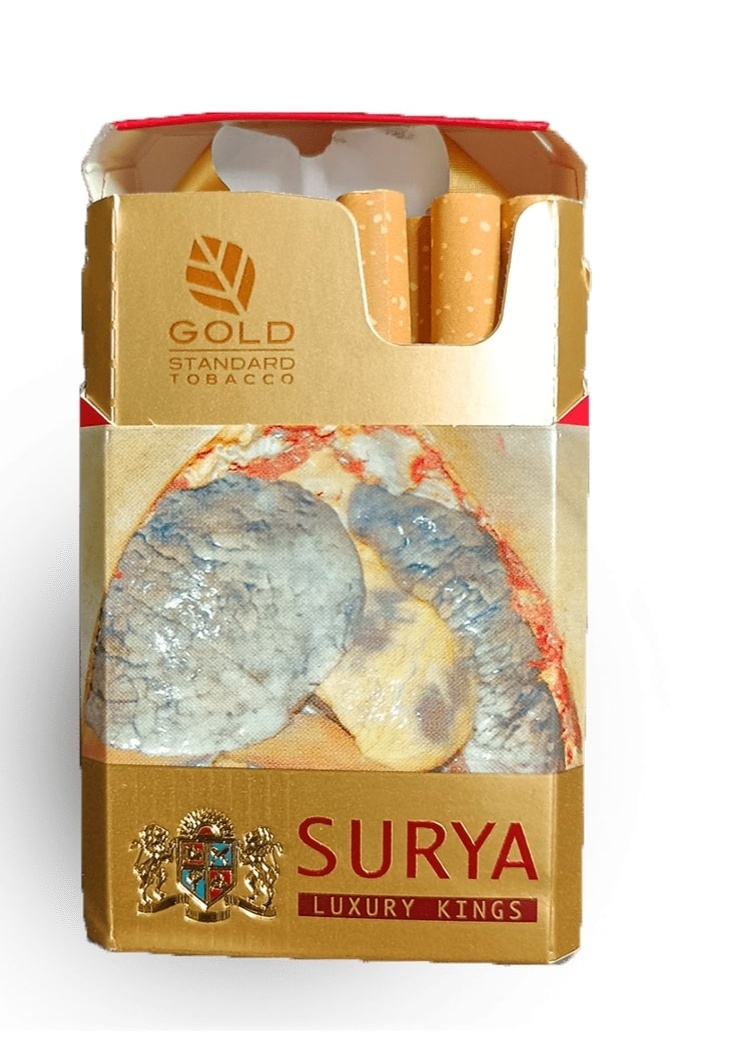 Surya Luxury King